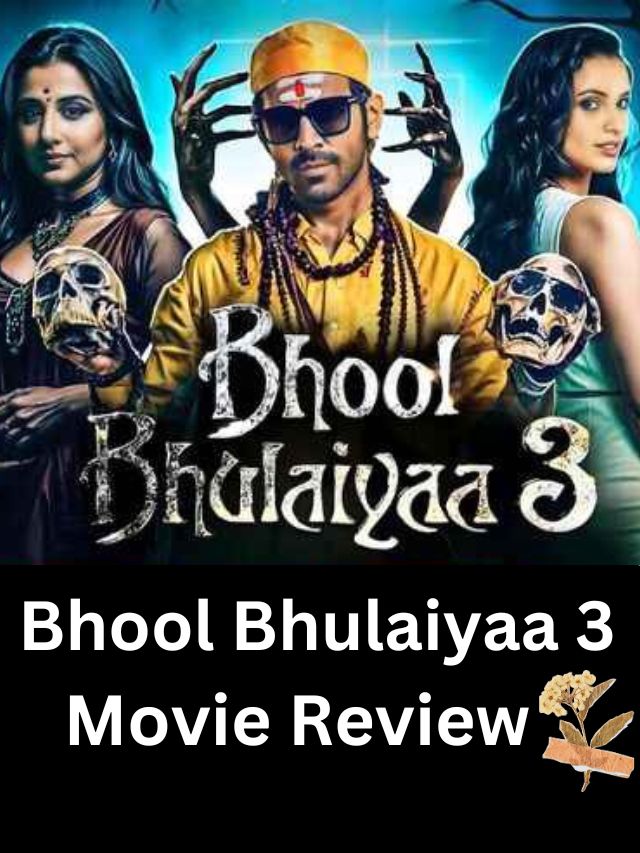 Bhool Bhulaiyaa 3, movie review